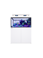 Red Sea REEFER PENINSULA 500 G3 DELUXE WHITE (INCL 2 X RL170 & PENDANT)