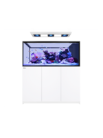 Red Sea REEFER PENINSULA S 700 G3 DELUXE WHITE (INCL 3 X RL170 & PENDANT)