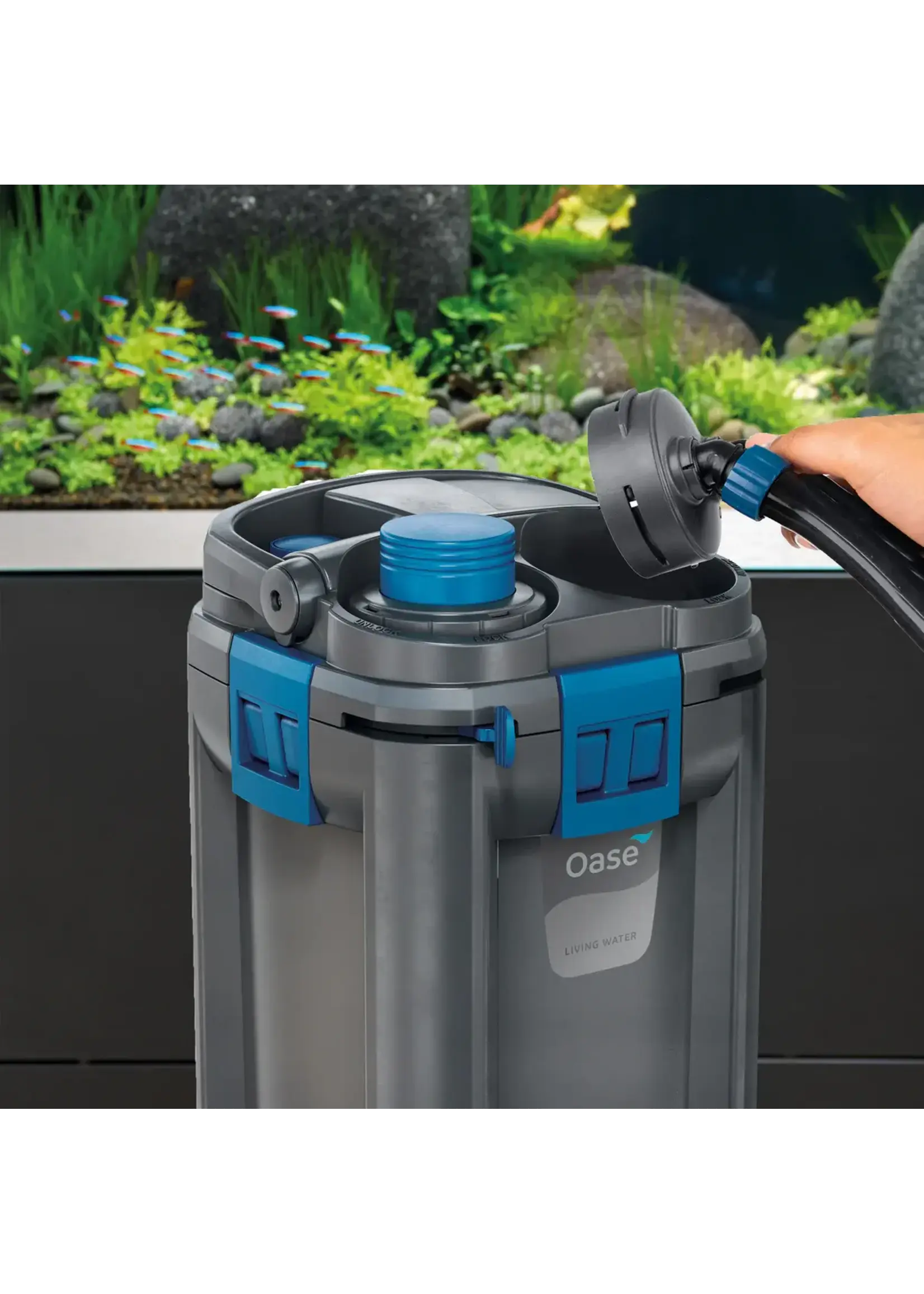 Oase BIOMASTER CANISTER 250 GEN 2