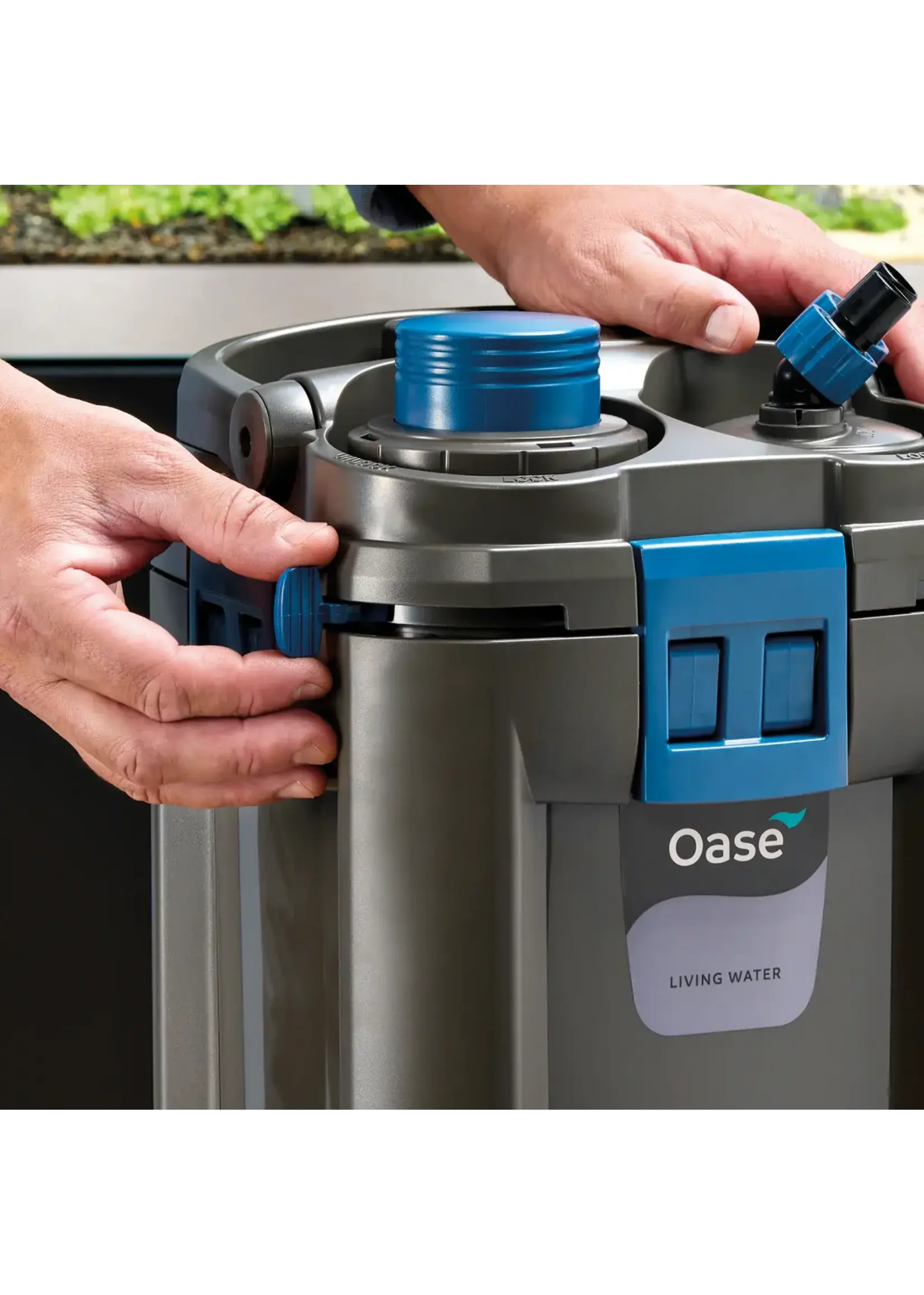 Oase BIOMASTER THERMO CANISTER 250 GEN 2