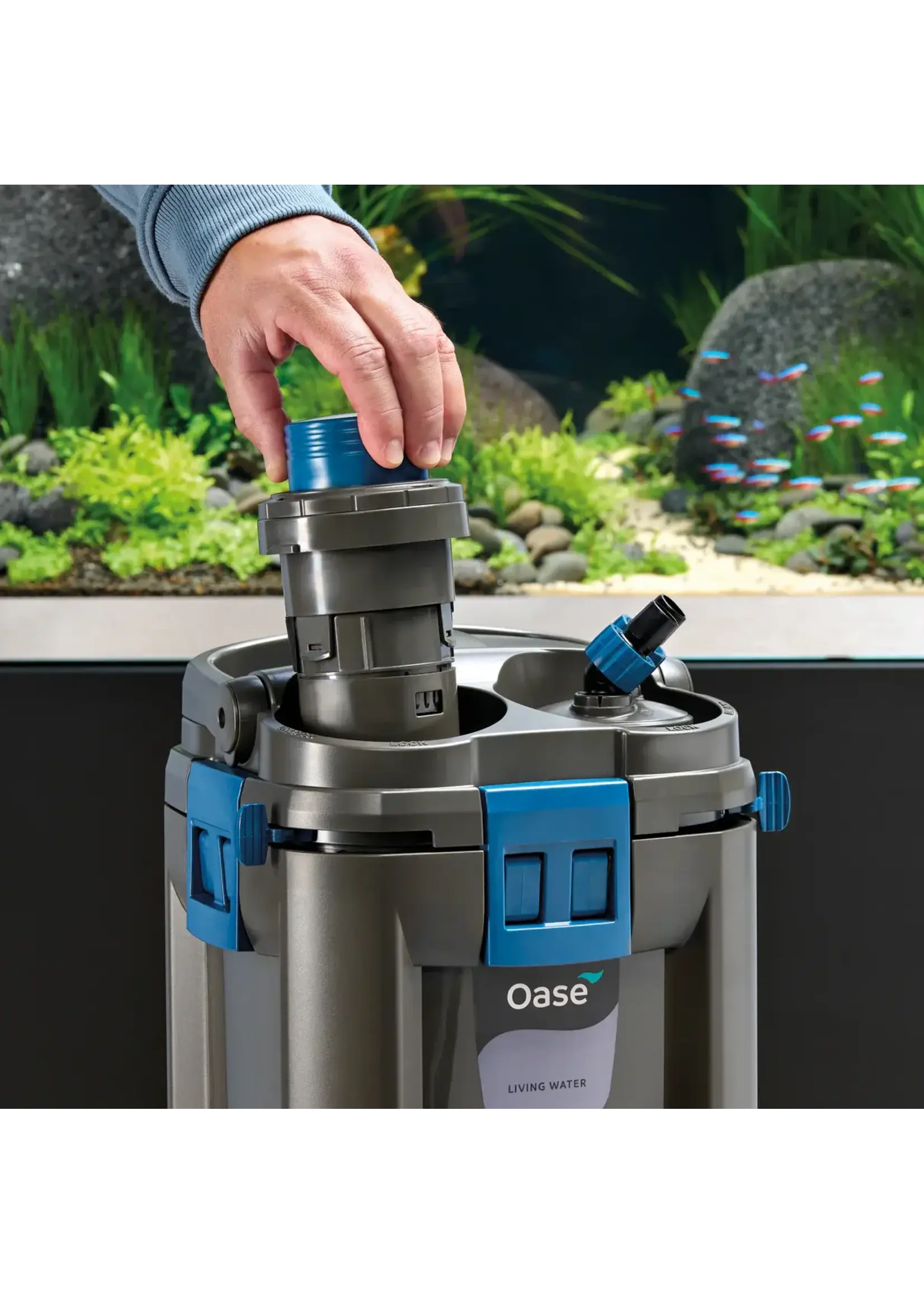 Oase BIOMASTER CANISTER 350 GEN 2