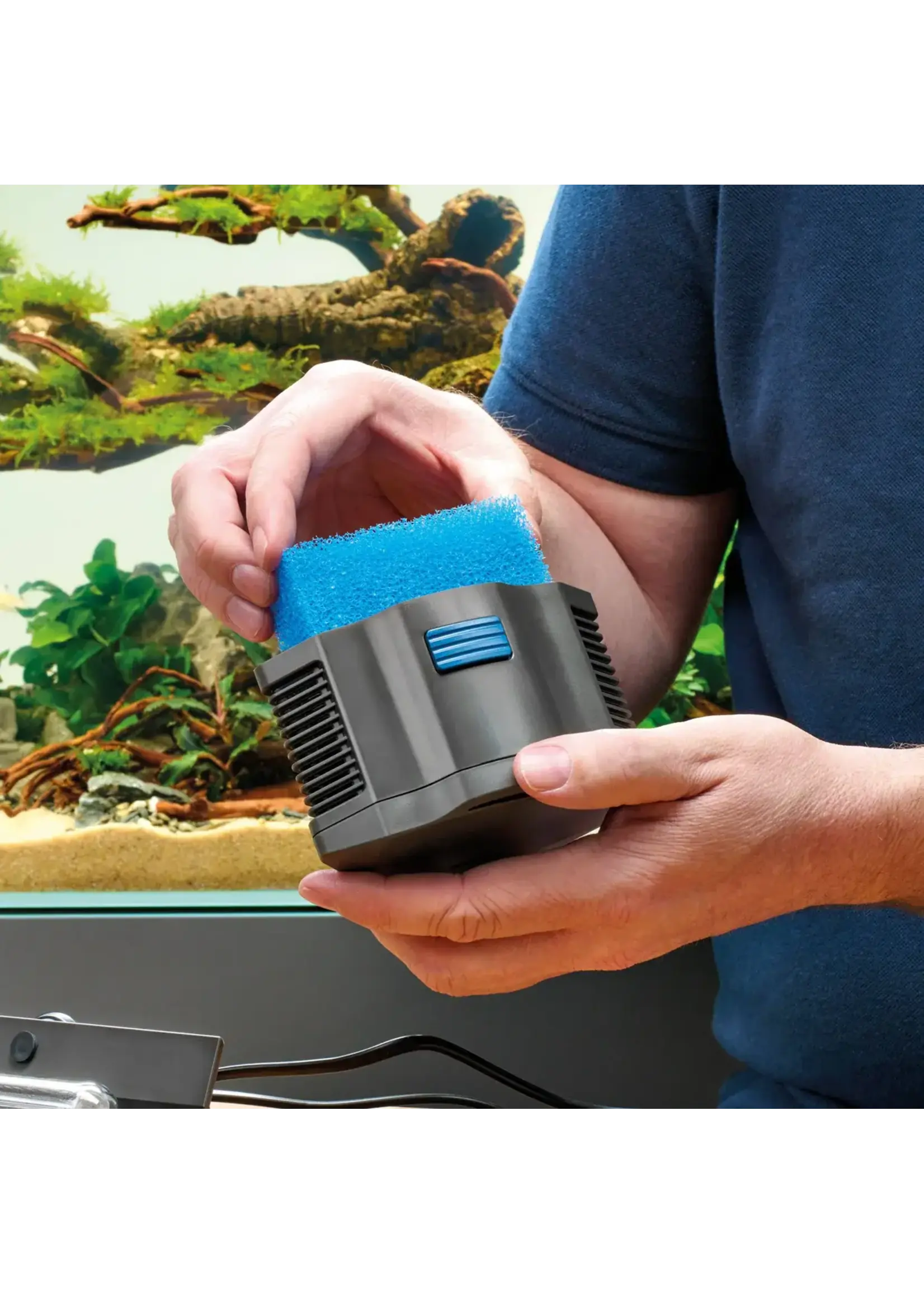 Oase BIOPLUS FOAM BLUE 20 PPI