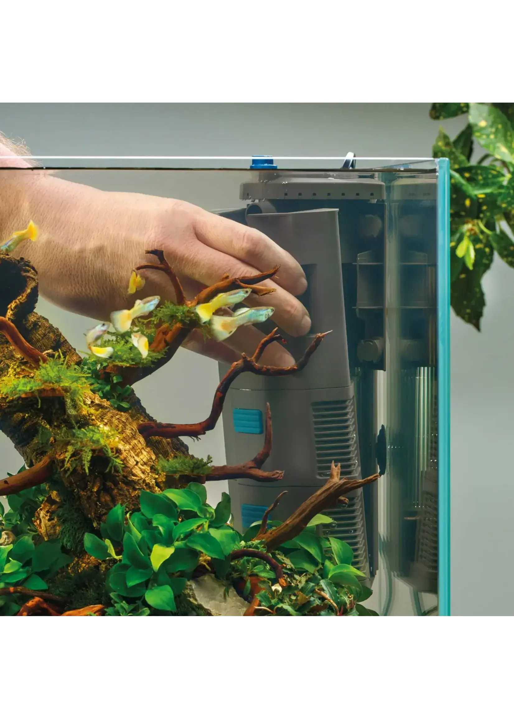 Oase BIOPLUS 100 INTERNAL FILTER