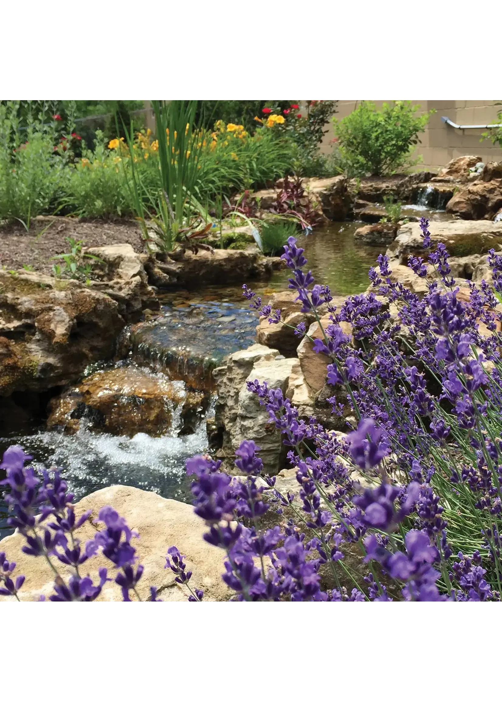 Atlantic Water Gardens FILTERFALL BF1600 16"