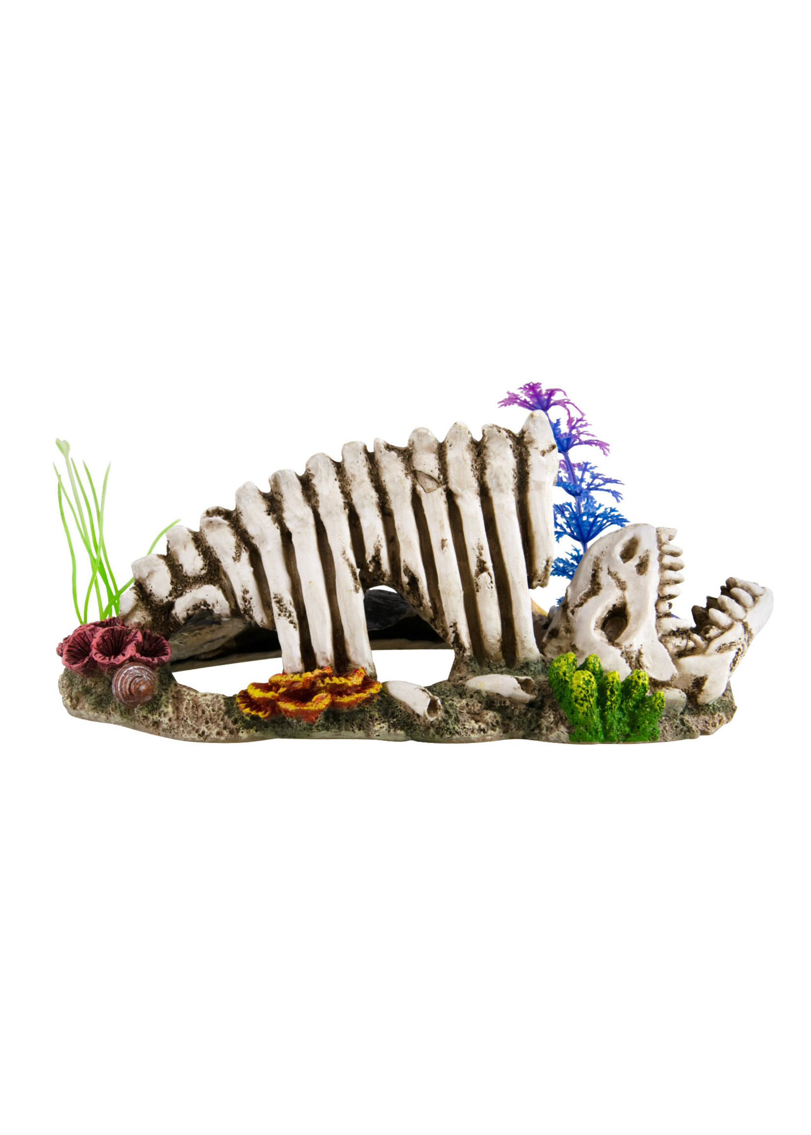 Underwater Treasures SHELTER DINO BONES