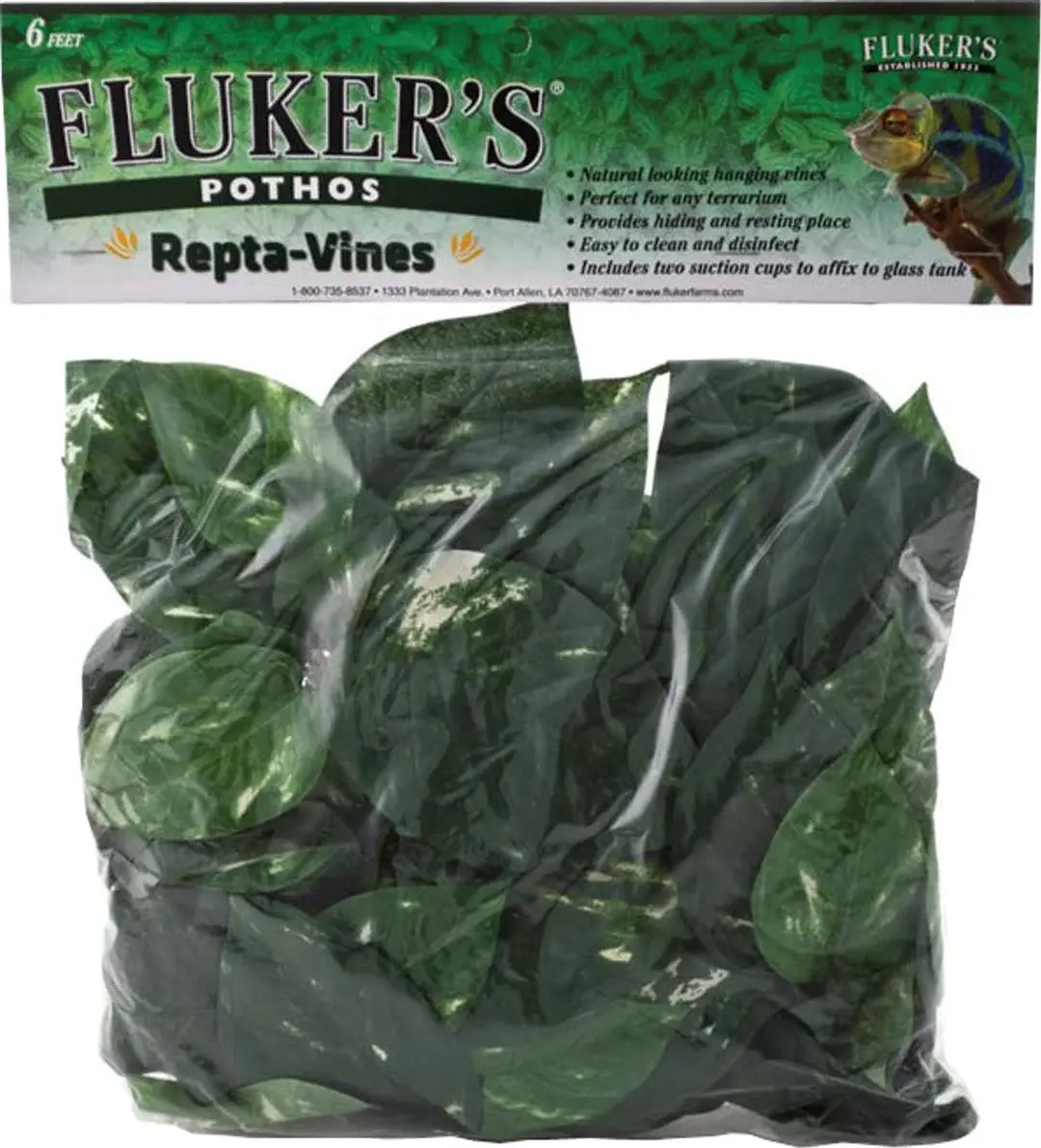 REPTA VINE POTHOS GREEN 6 FT