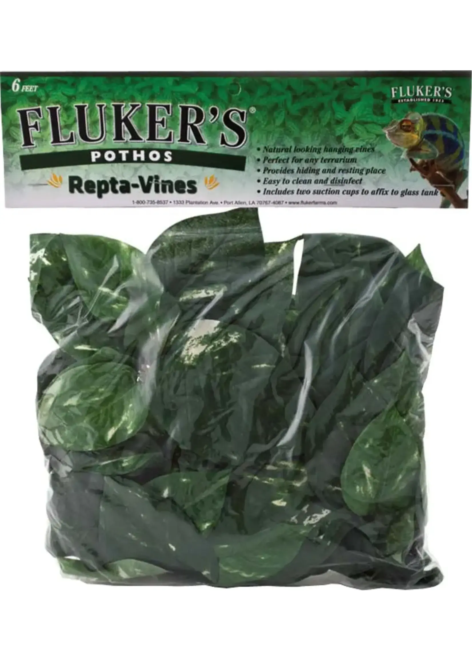 Fluker Farm REPTA VINE POTHOS GREEN 6 FT