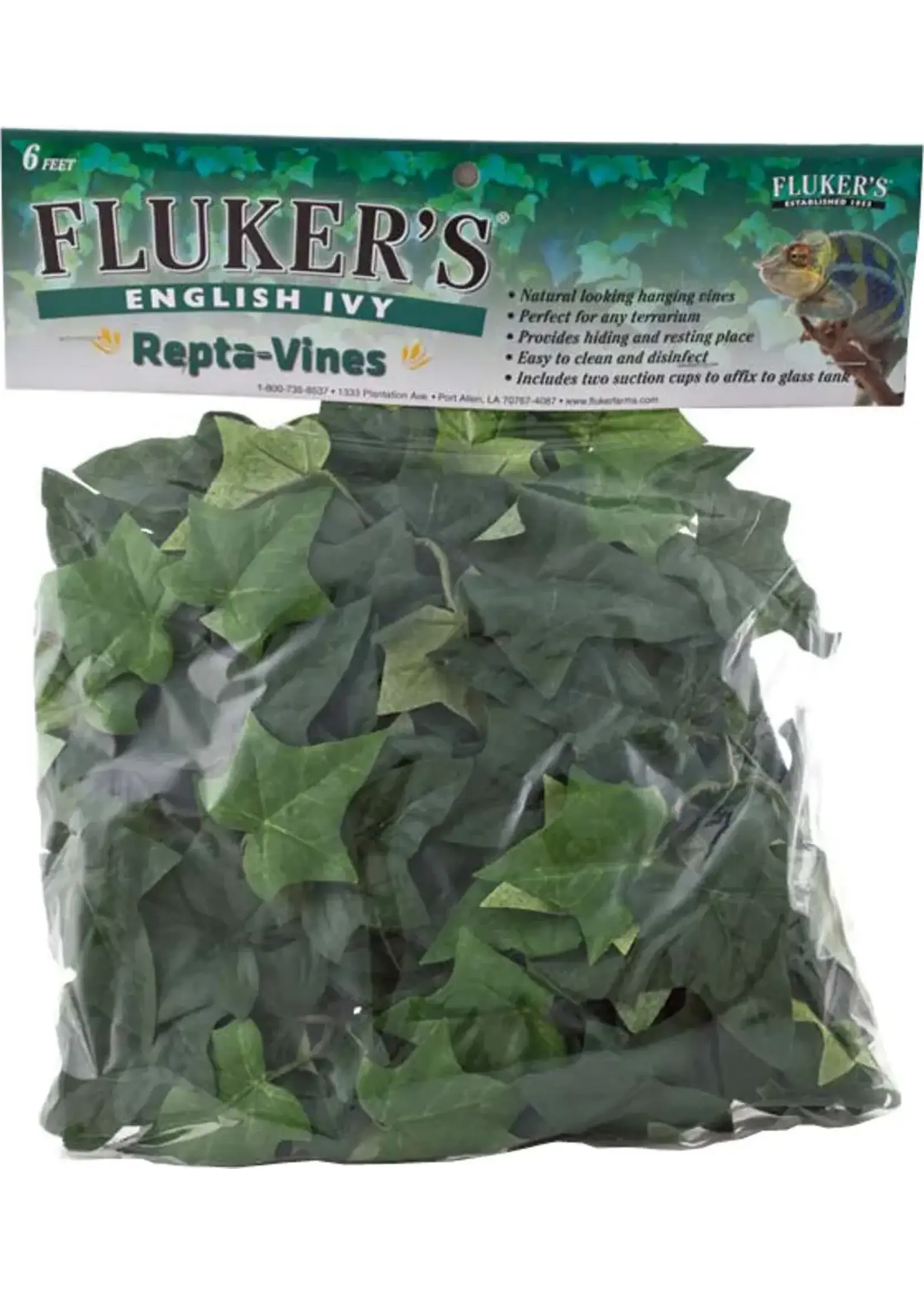Fluker Farm REPTA VINE ENGLISH IVY 6 FT