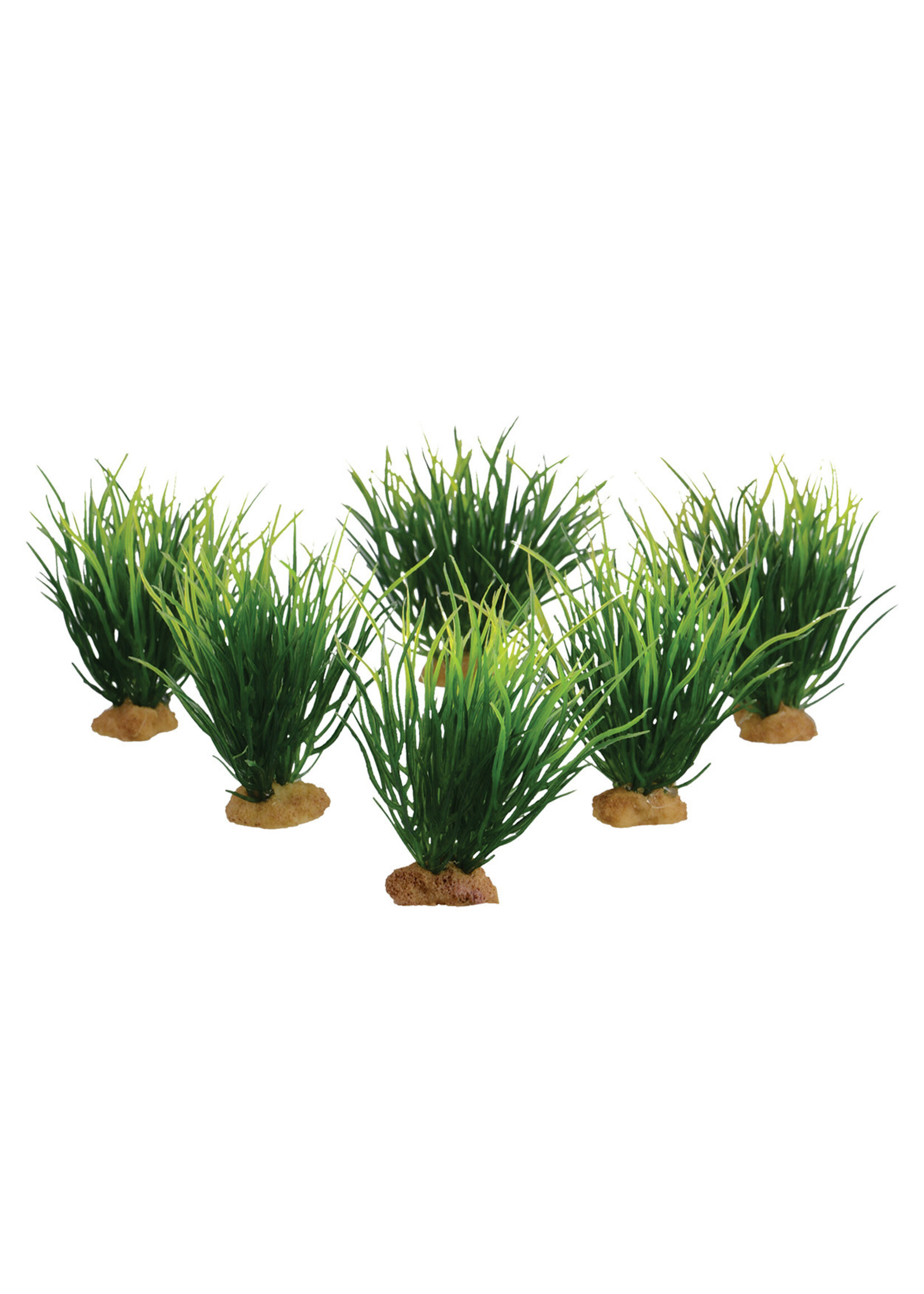 Underwater Treasures FORGROUND CARP GRASS 6 PK