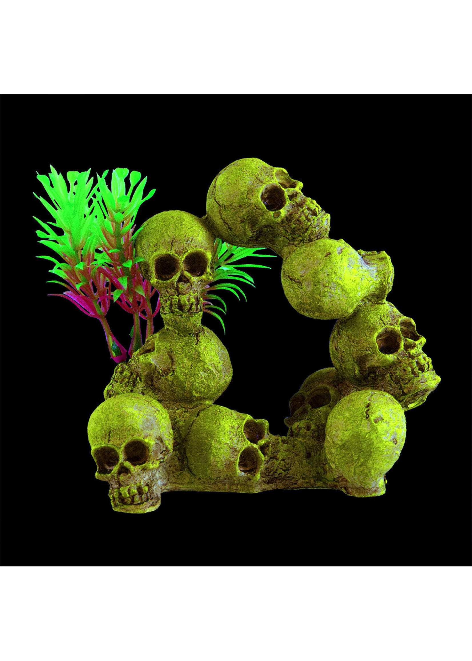 Underwater Treasures GLOWING RINGS OF SKULLS M