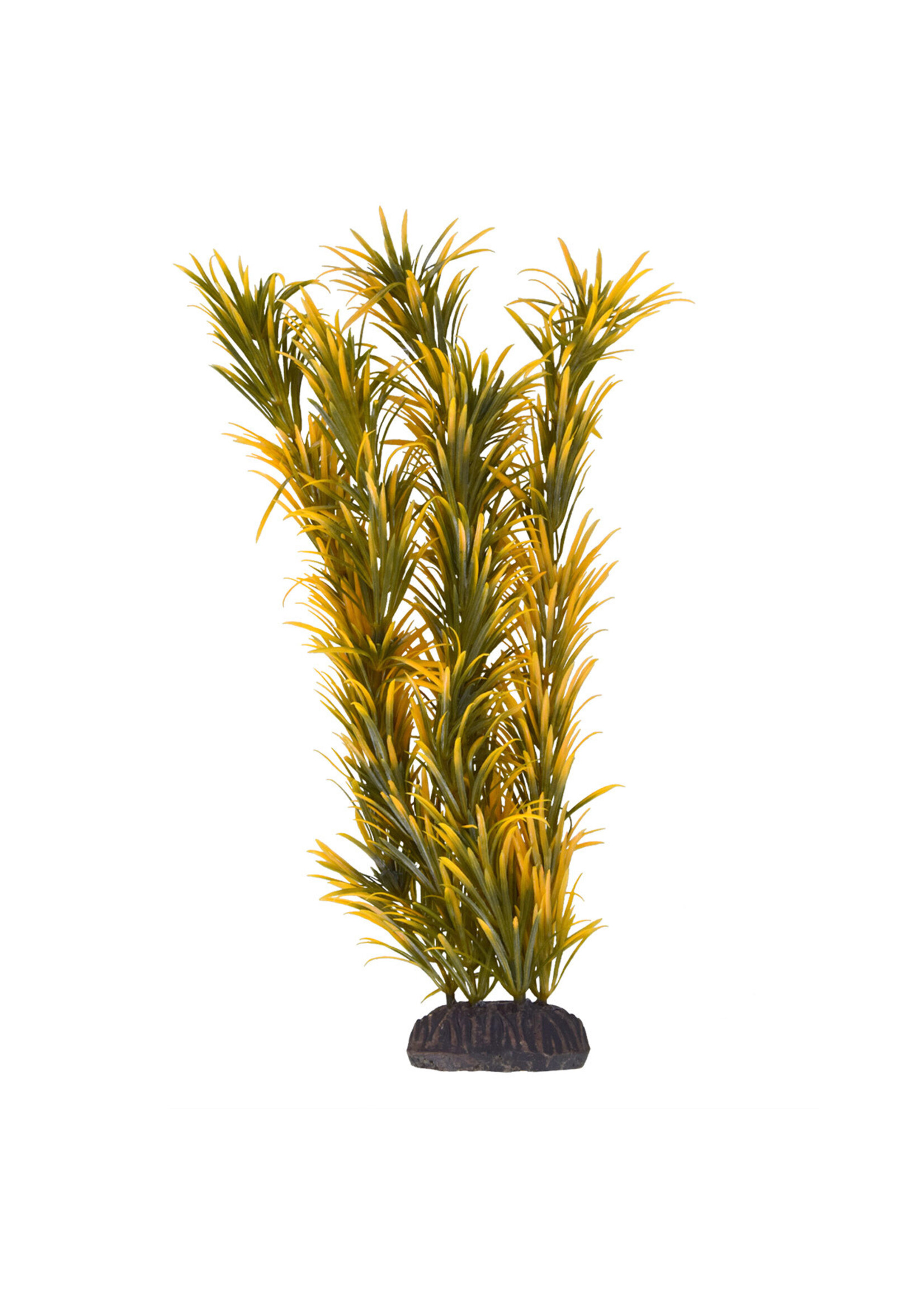 Underwater Treasures MAYACA ORANGE