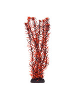 Underwater Treasures ROTALA INDICA 12"