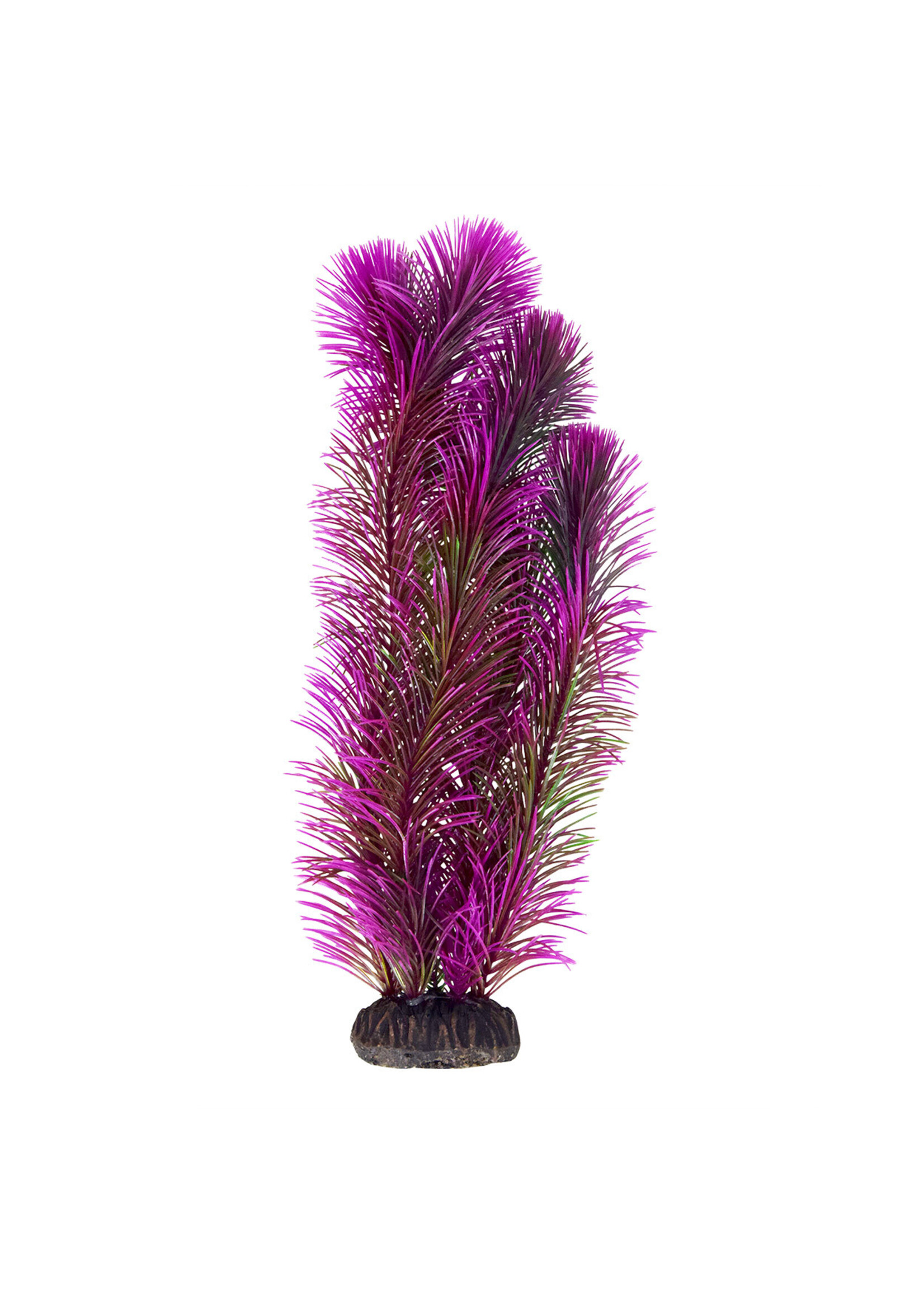 Underwater Treasures AMBULIA PURPLE 12"