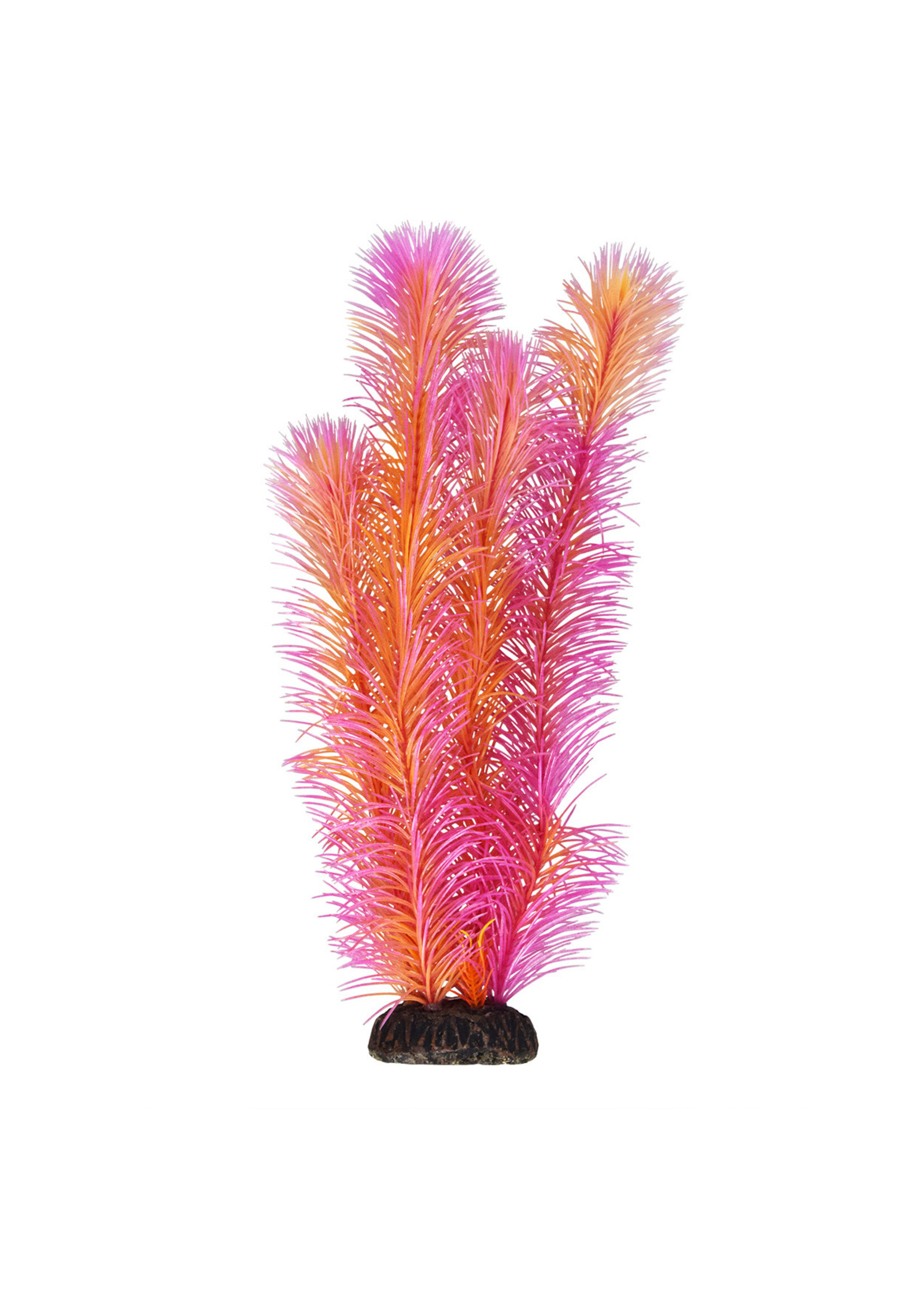 Underwater Treasures AMBULIA RED 12"