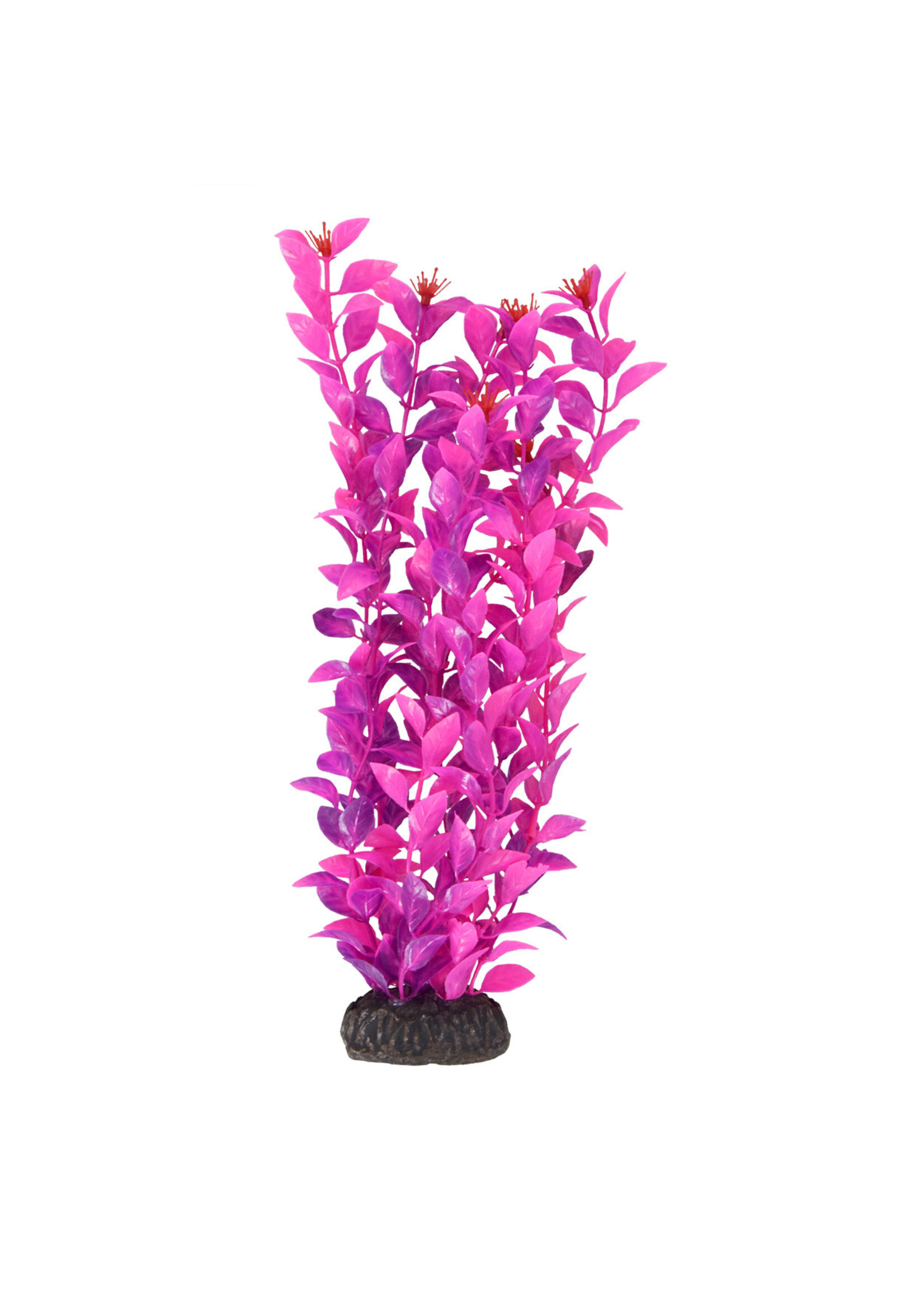 Underwater Treasures UT LUDWIGIA PINK 12"