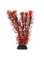 Underwater Treasures ROTALA INDICA 8"