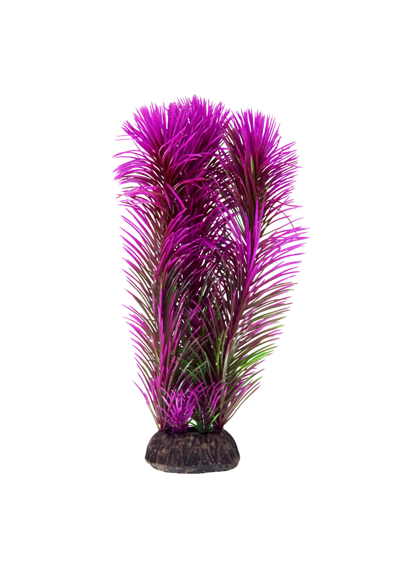 Underwater Treasures AMBULIA PURPLE 8"