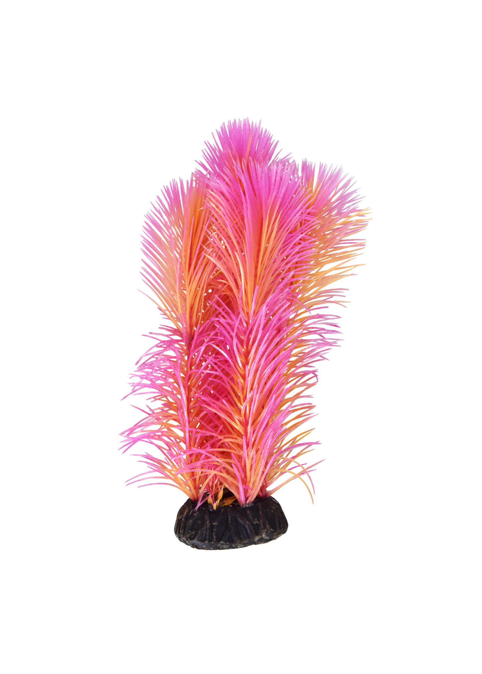 Underwater Treasures AMBULIA RED 8"
