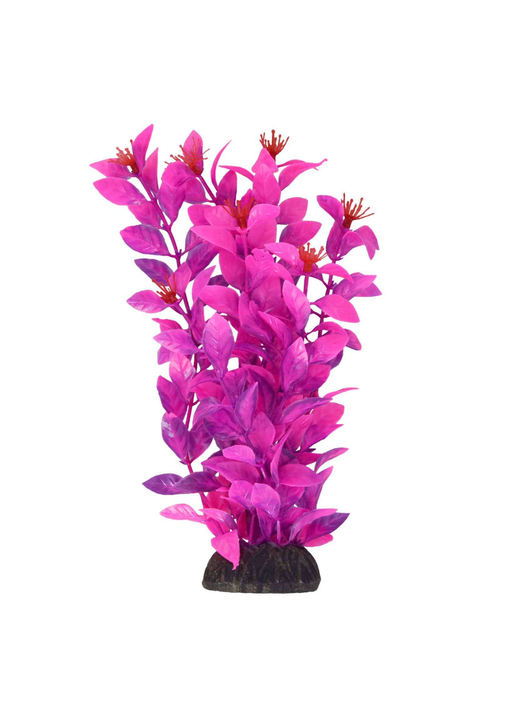 Underwater Treasures LUDWIGIA PINK 8"
