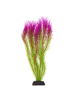 Underwater Treasures UT MAYACA PINK TIP