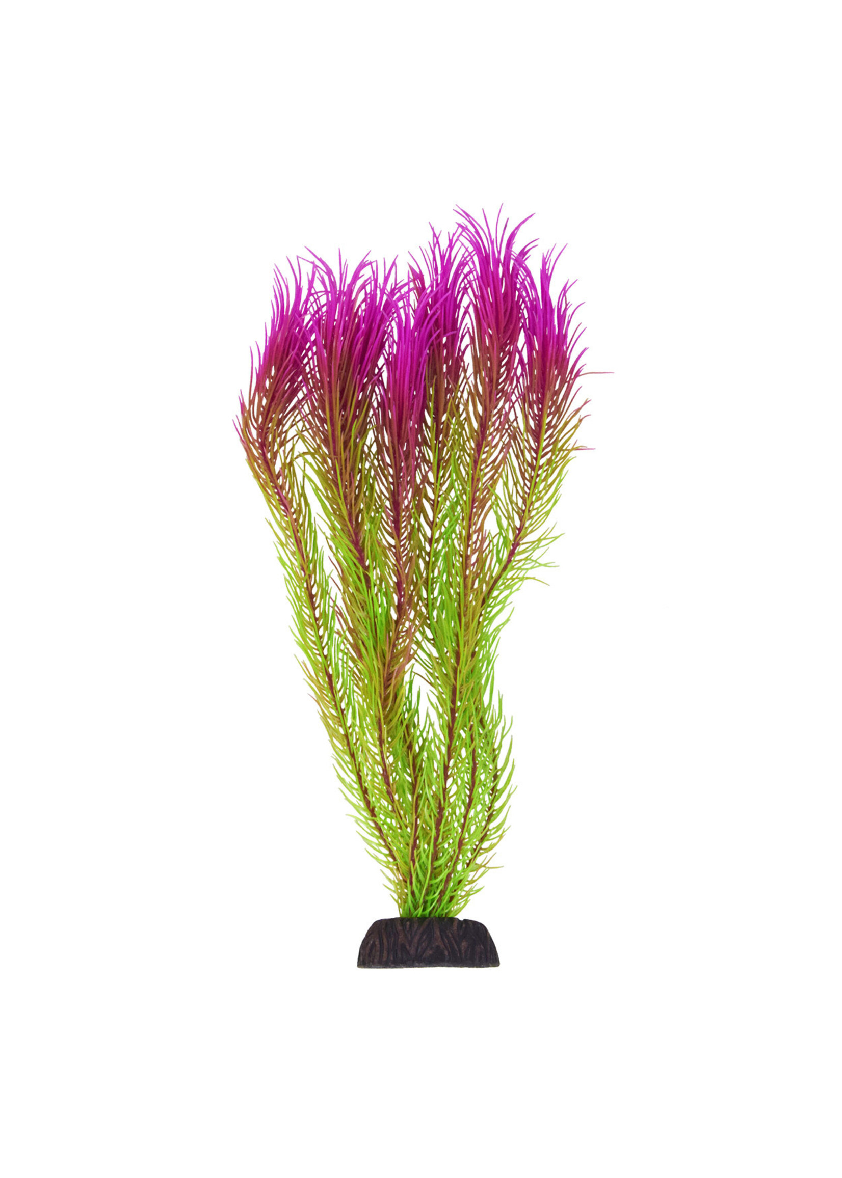 Underwater Treasures UT MAYACA PINK TIP