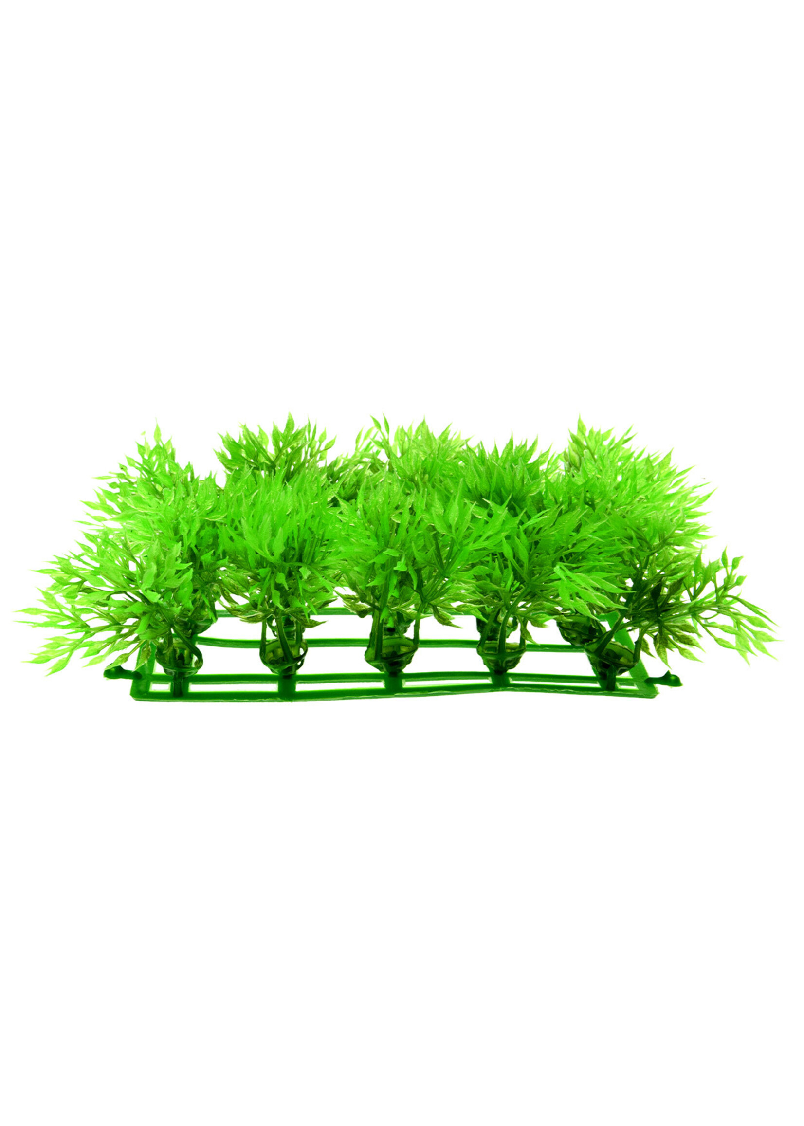 Underwater Treasures MAT GRASS 6" X 6 "