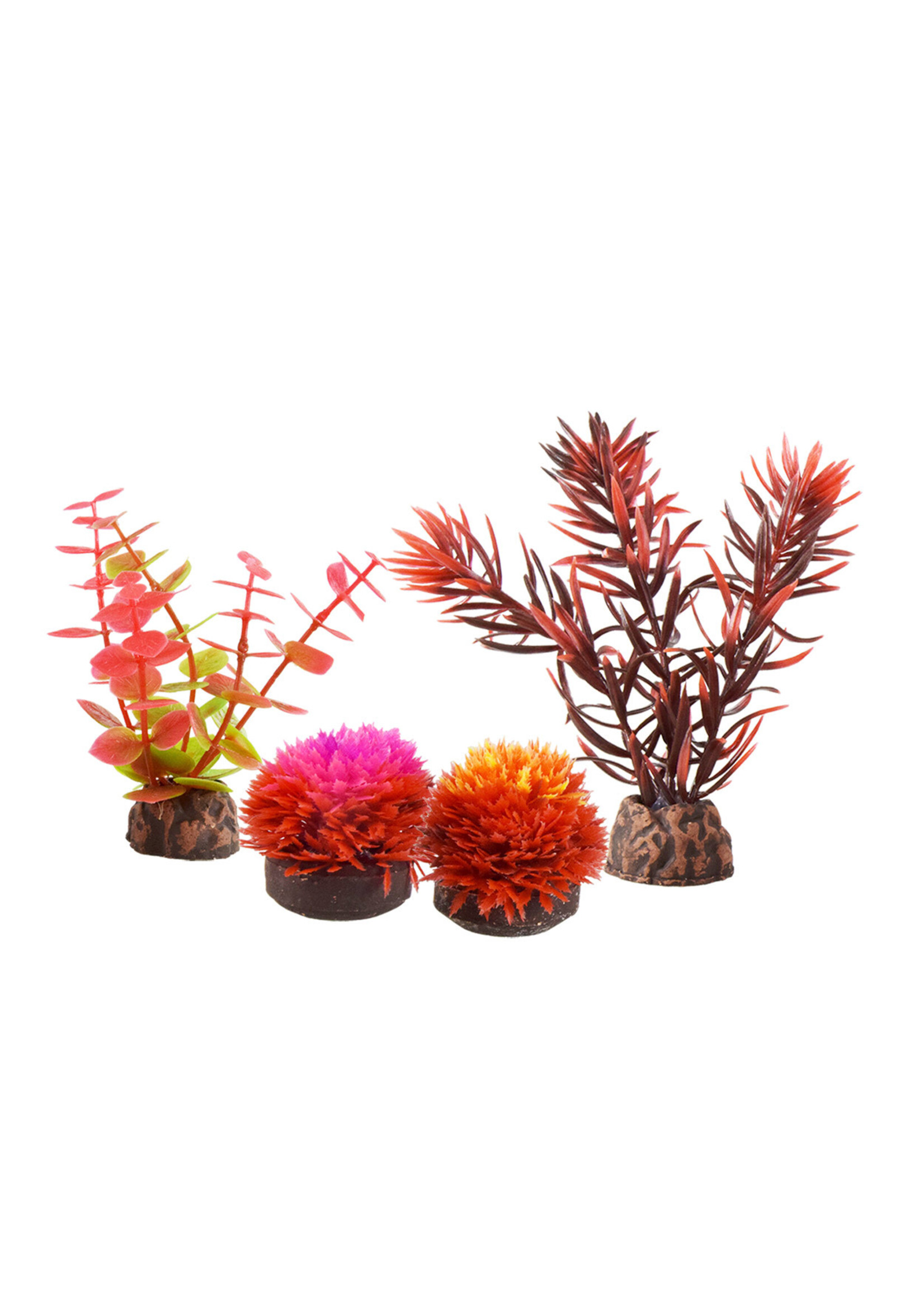 Underwater Treasures FOREGROUND PLANT SET RED