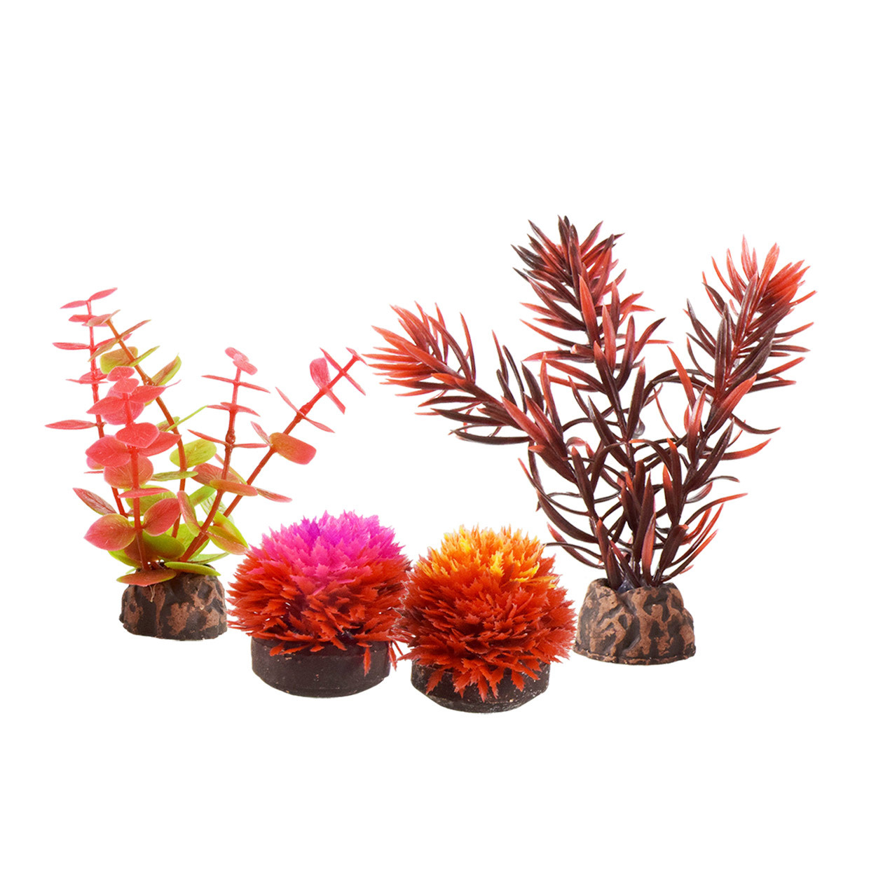 FOREGROUND PLANT SET RED