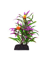 Underwater Treasures HYGRO ARAGUAIS 3"