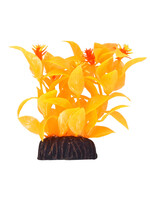 Underwater Treasures LUDWIGIA ORANGE 3"