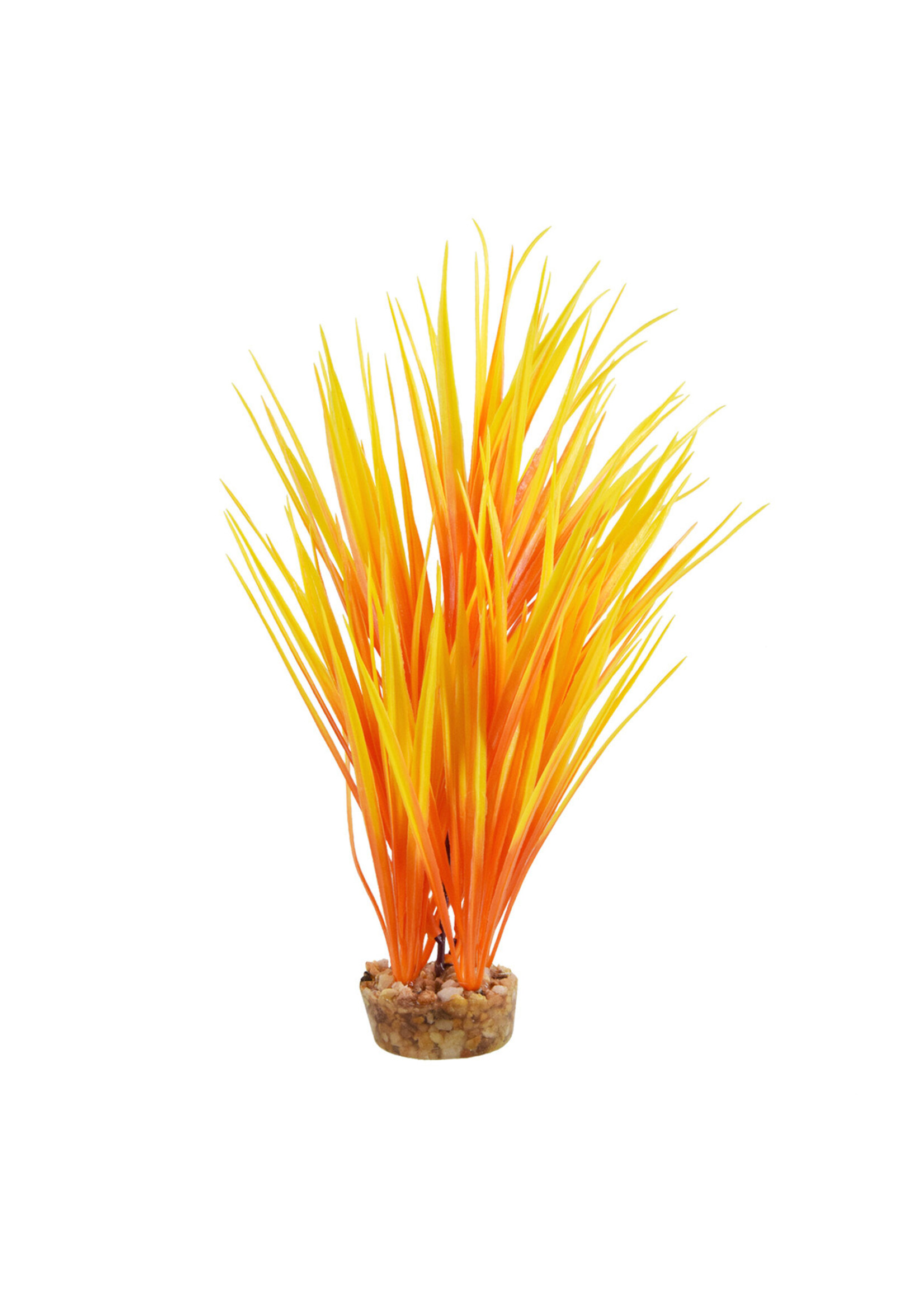 Underwater Treasures AMAZON GRASS FLAME 10"