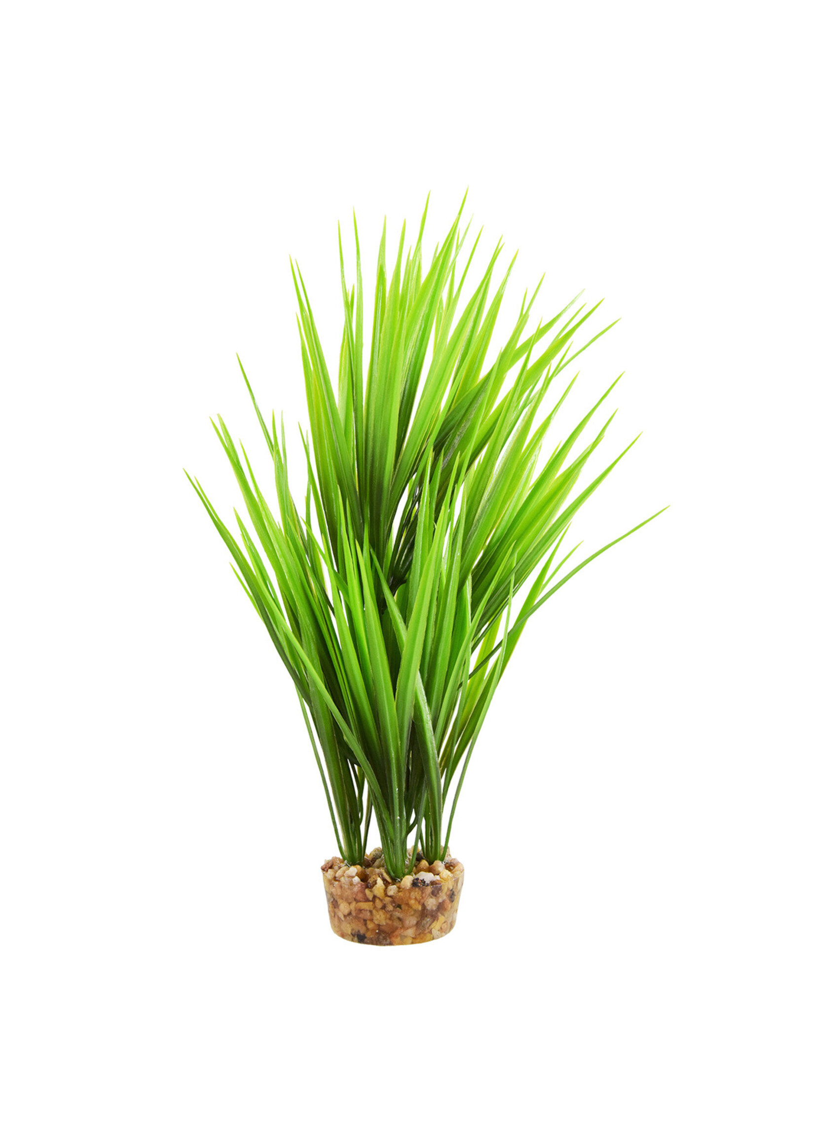 Underwater Treasures UT AMAZON GRASS GREEN 10"
