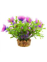 Underwater Treasures BACOMBA PURPLE 4"