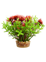 Underwater Treasures BACOMBA RED 4"