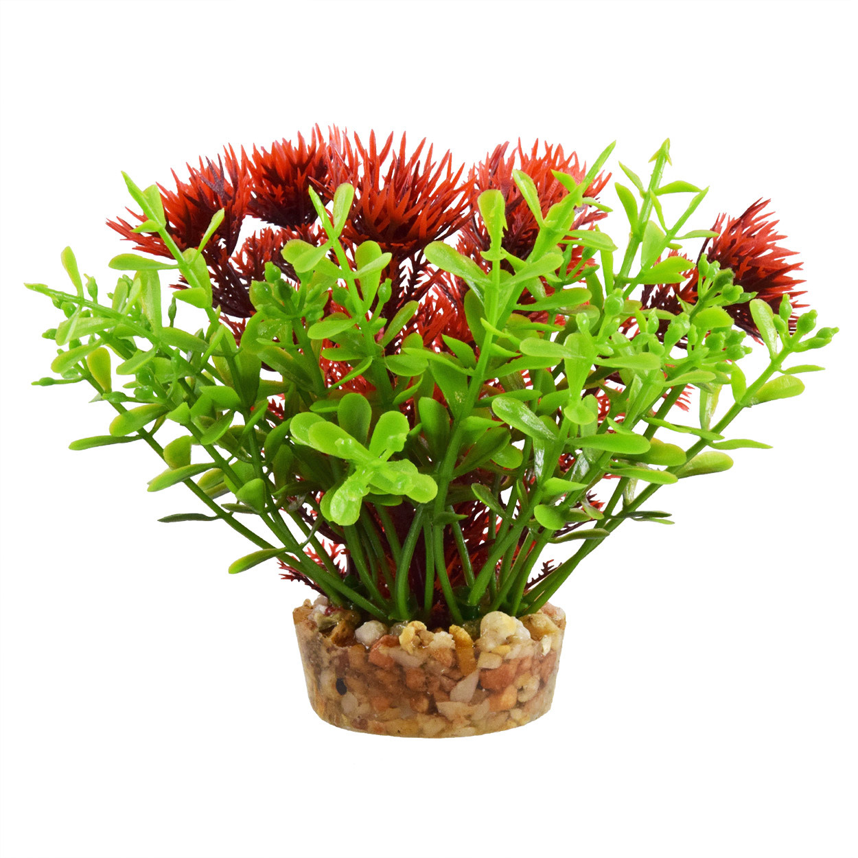 BACOMBA RED 4"