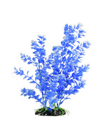 Underwater Treasures MOON BOG PLANT