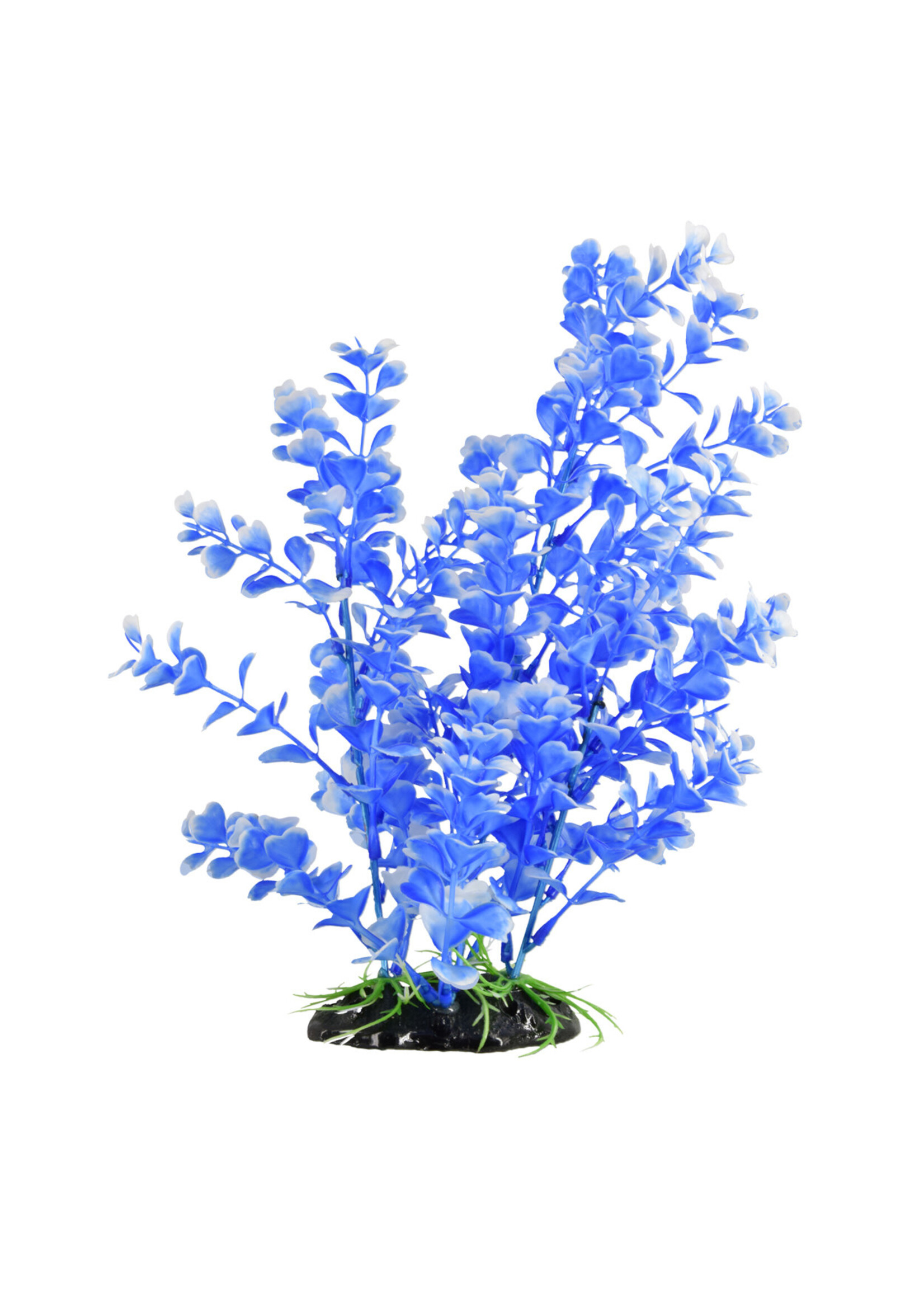 Underwater Treasures MOON BOG PLANT