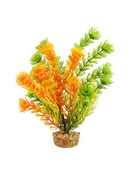 Underwater Treasures CABOMBA ORANGE 6"