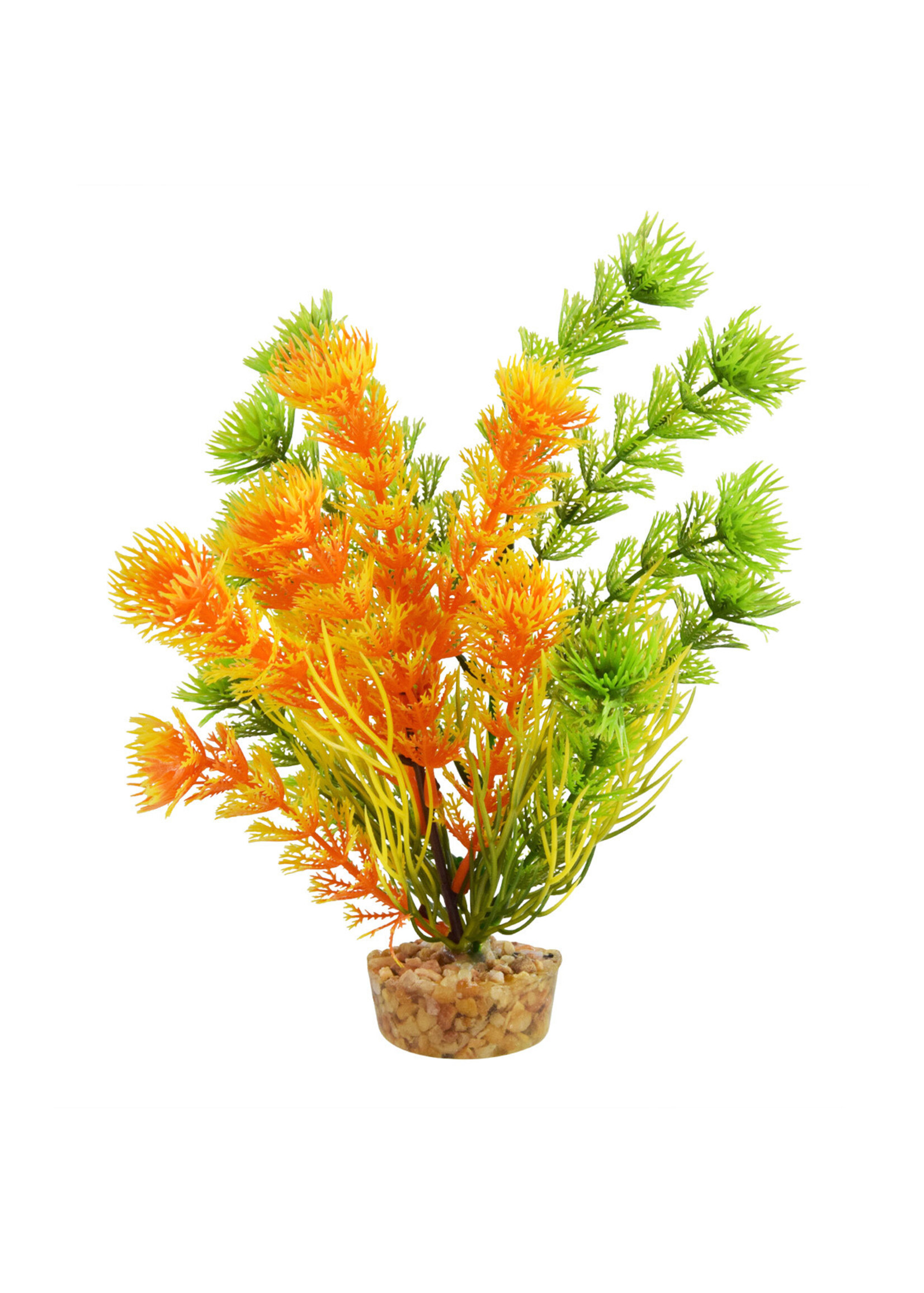 Underwater Treasures CABOMBA ORANGE 6"