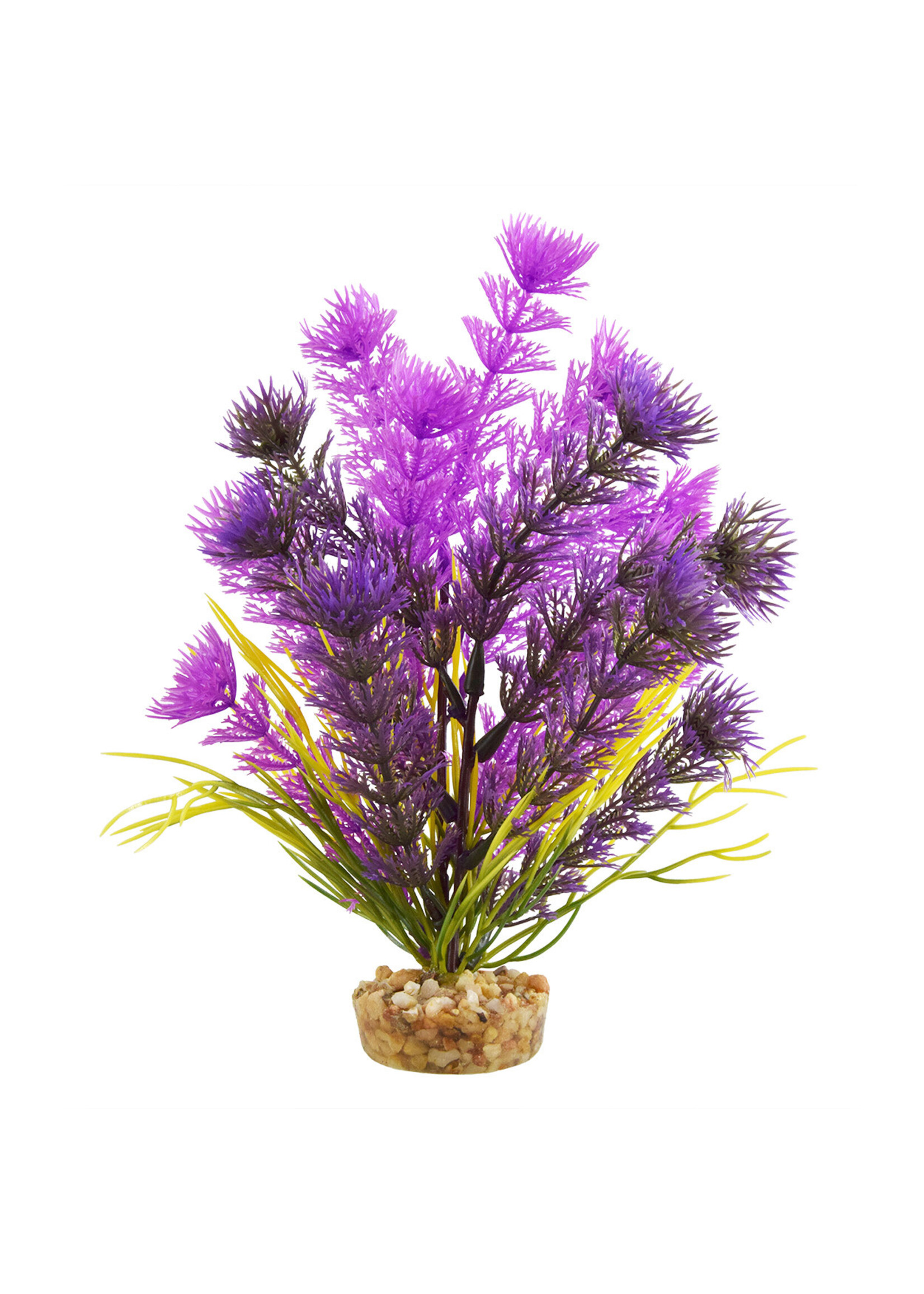 Underwater Treasures CABOMBA PURPLE 6"