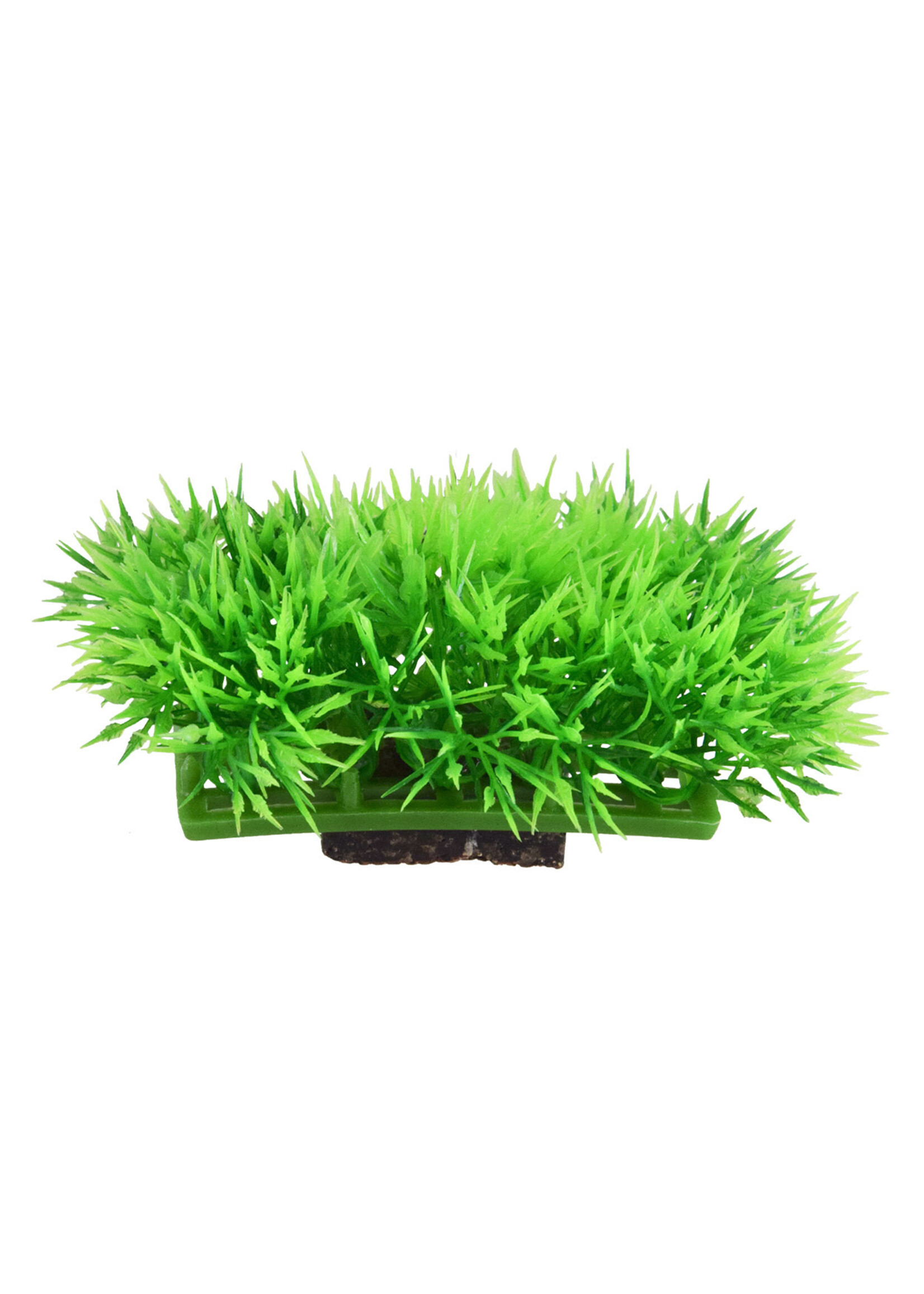 Underwater Treasures GRASS MAT MINI