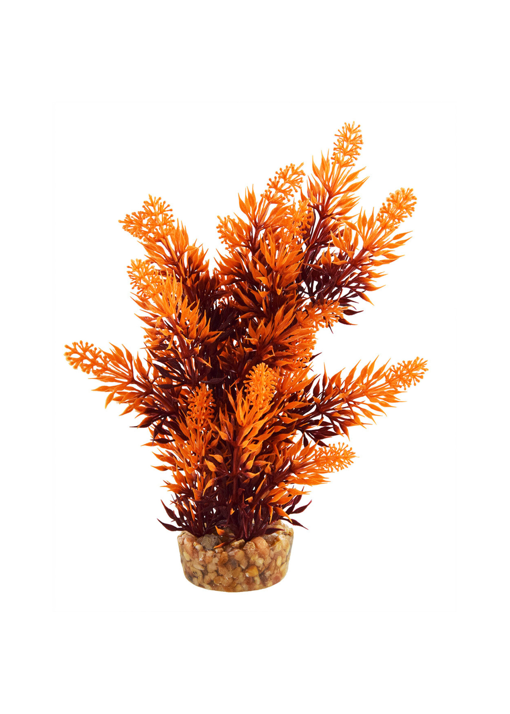 Underwater Treasures HYGRO TREE SUNSET 8"
