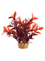 Underwater Treasures LUDWIGIA CHERRY 6"