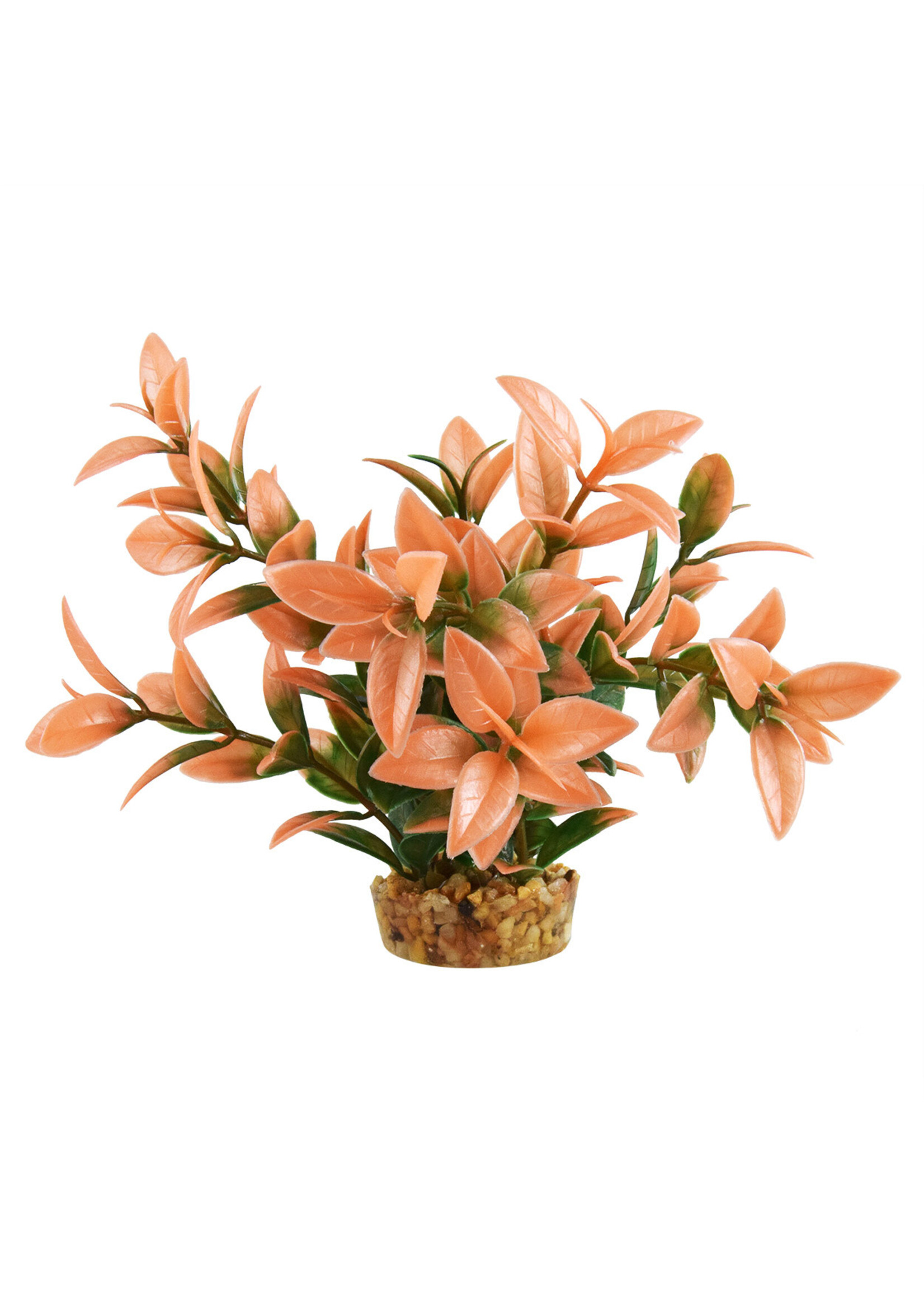 Underwater Treasures LUDWIGIA PEACH TIP 6"