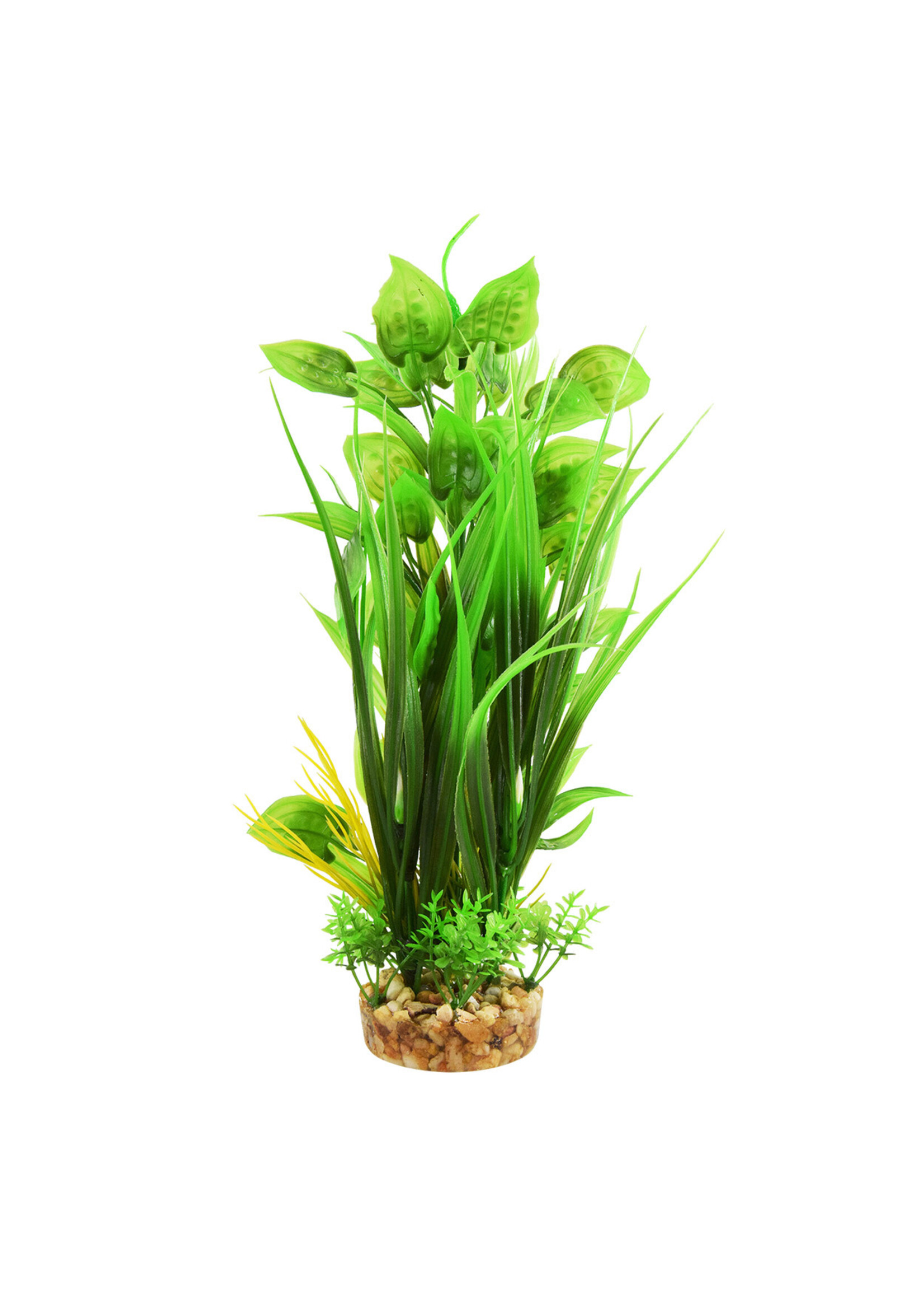 Underwater Treasures GRASSY LUDWIGA 12"