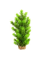 Underwater Treasures AMBULIA TREE 12"