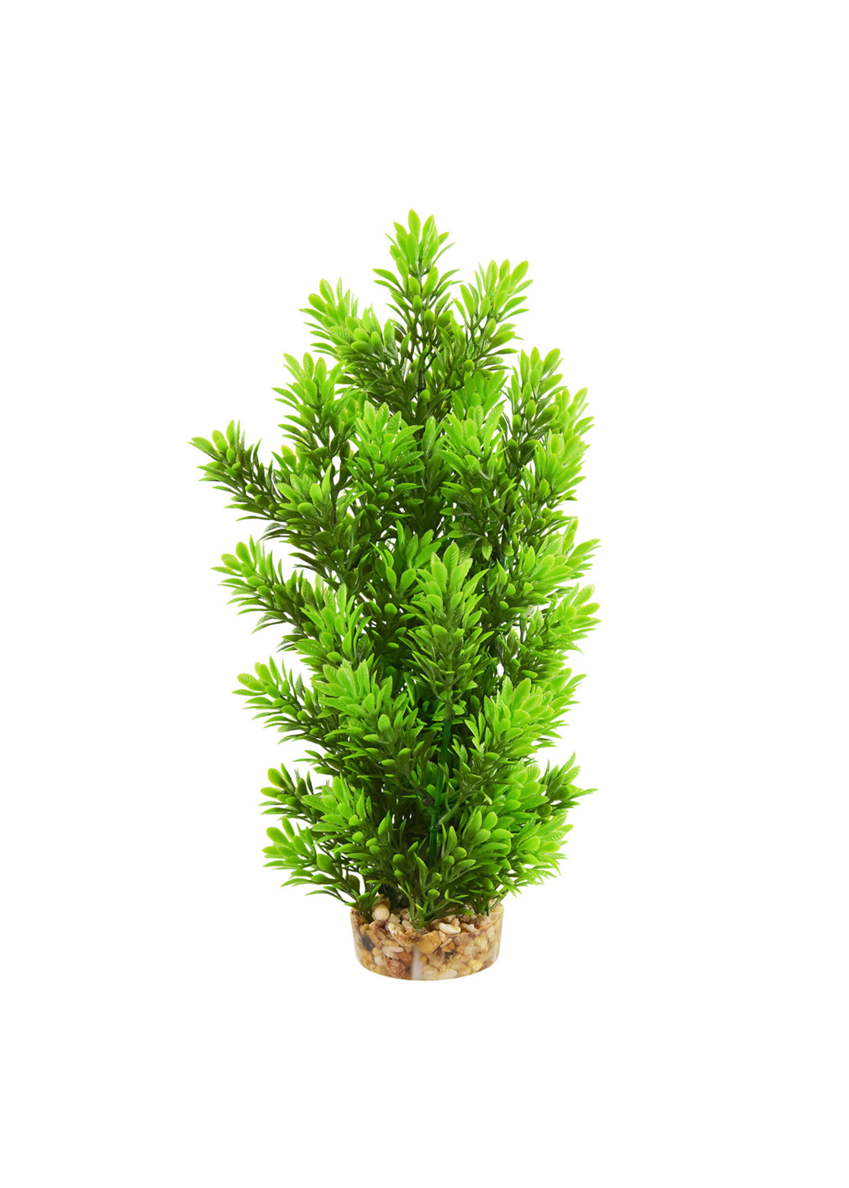 Underwater Treasures AMBULIA TREE 12"