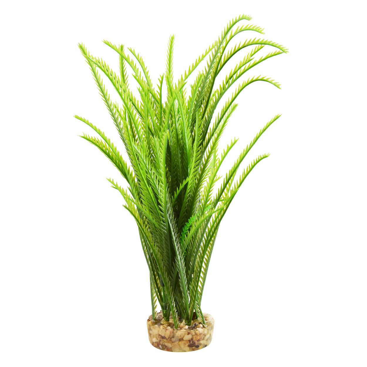 JAPONICA GREEN 12"