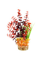 Underwater Treasures VARIETY FLAMES 10"