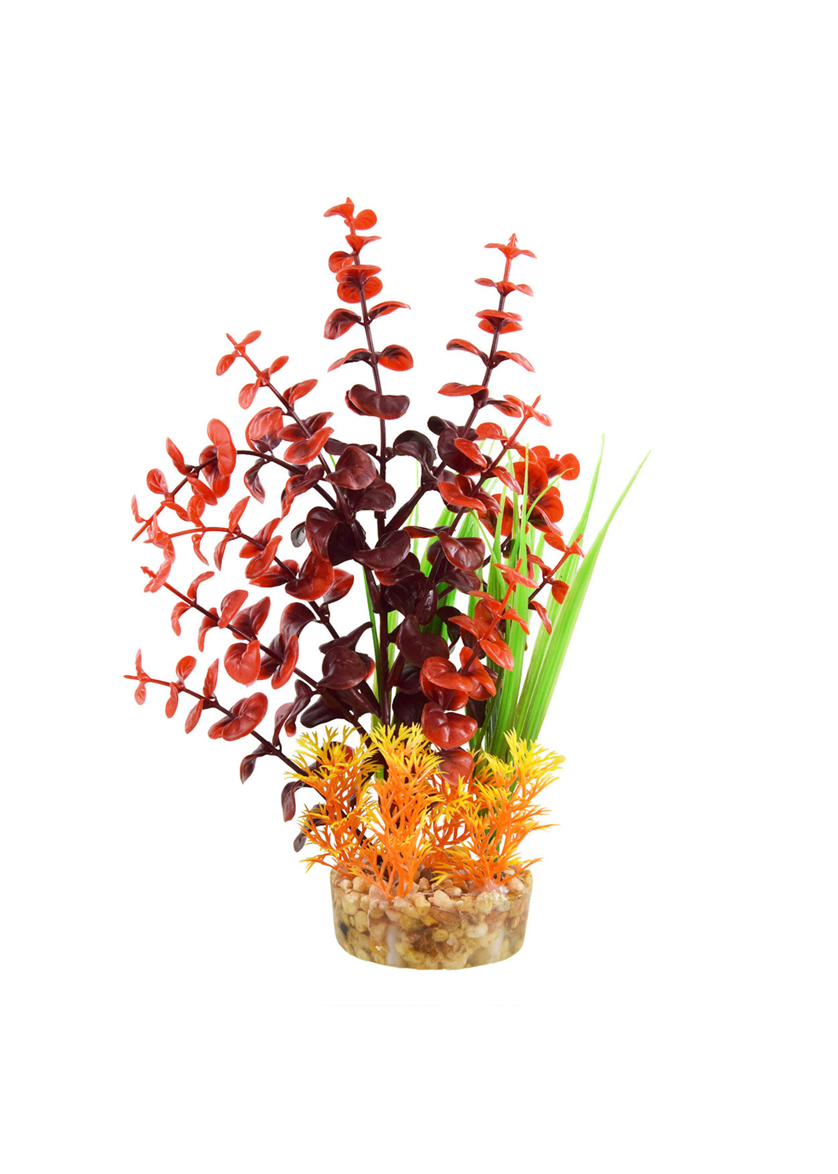 Underwater Treasures VARIETY FLAMES 10"